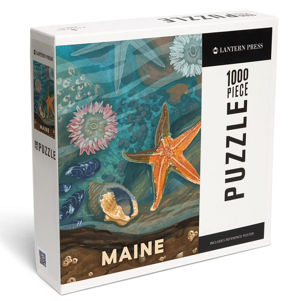 Lantern Press Lantern Press - 1000 Piece Puzzle - Maine Painterly Starfish & Shells