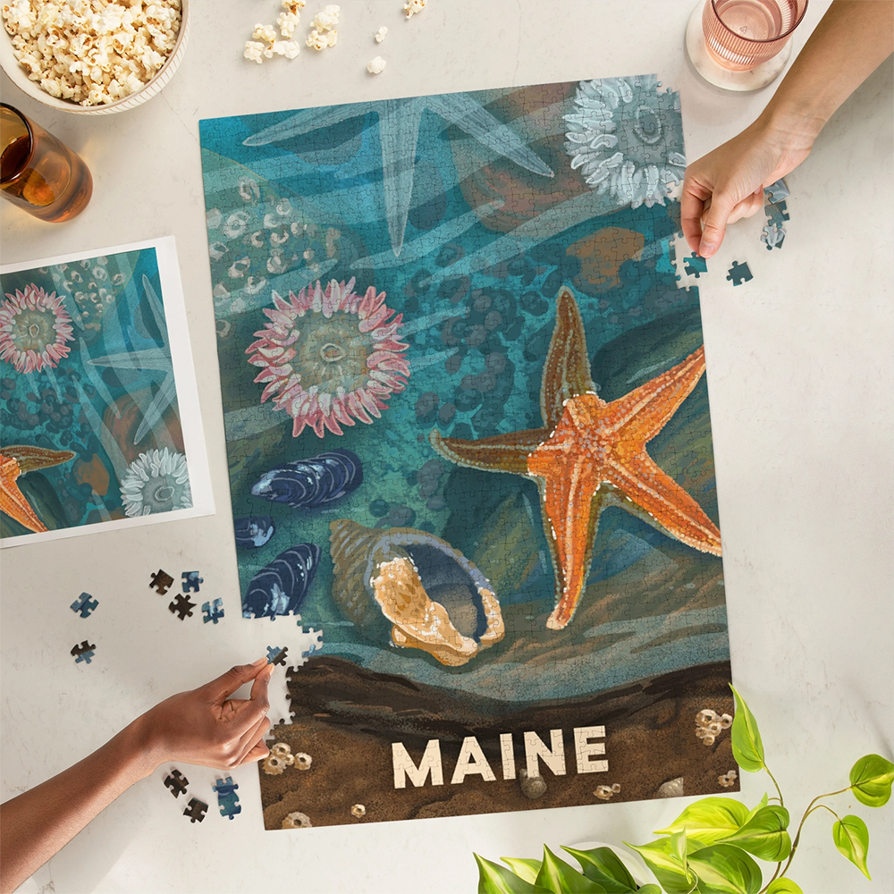 Lantern Press - 1000 Piece Puzzle - Maine Painterly Starfish & Shells
