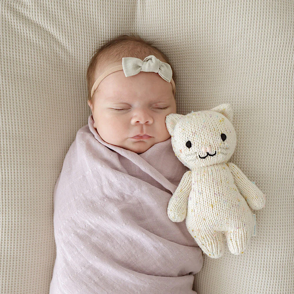 Cuddle + Kind - Baby Kitten