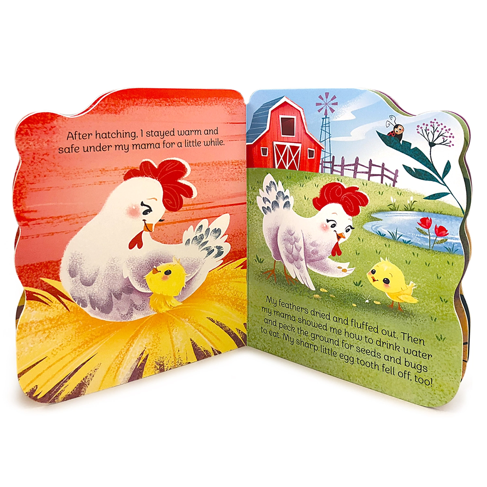 A Little Chick Shaped Board Book