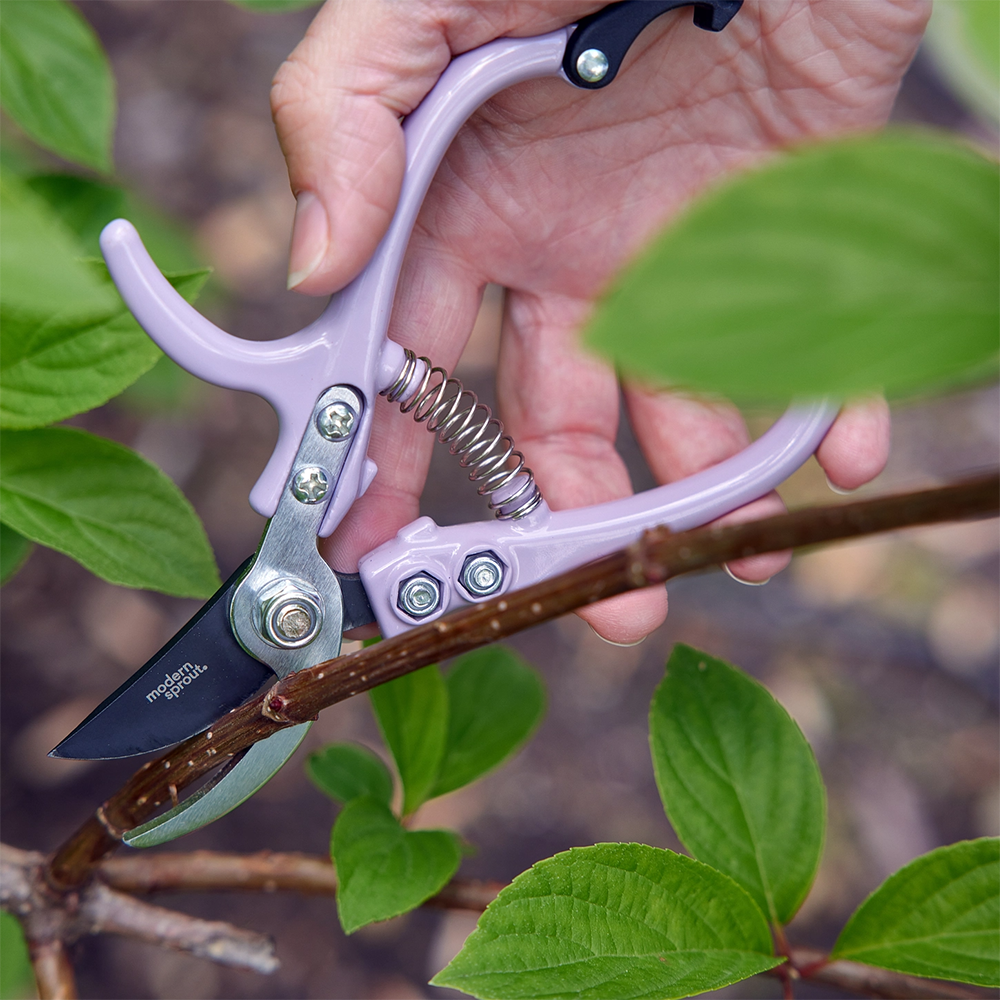 Modern Sprout Garden Pruners - Lavender