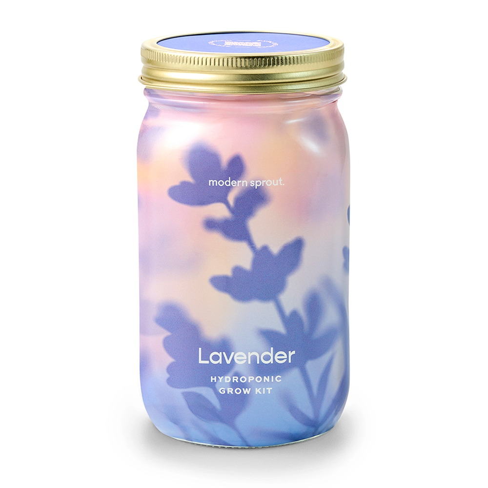 Modern Sprout Modern Sprout Herb Garden Jar - Lavender