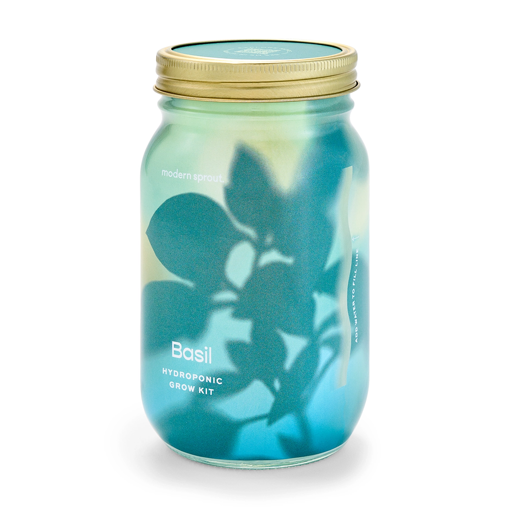 Modern Sprout Modern Sprout Herb Garden Jar - Basil