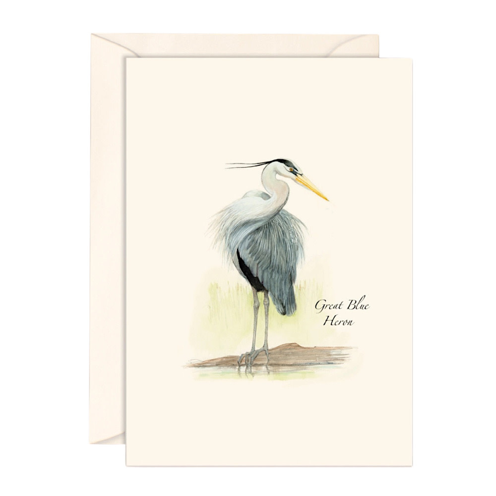 Earth Sky + Water - Great Blue Heron Card - Box Set of 8