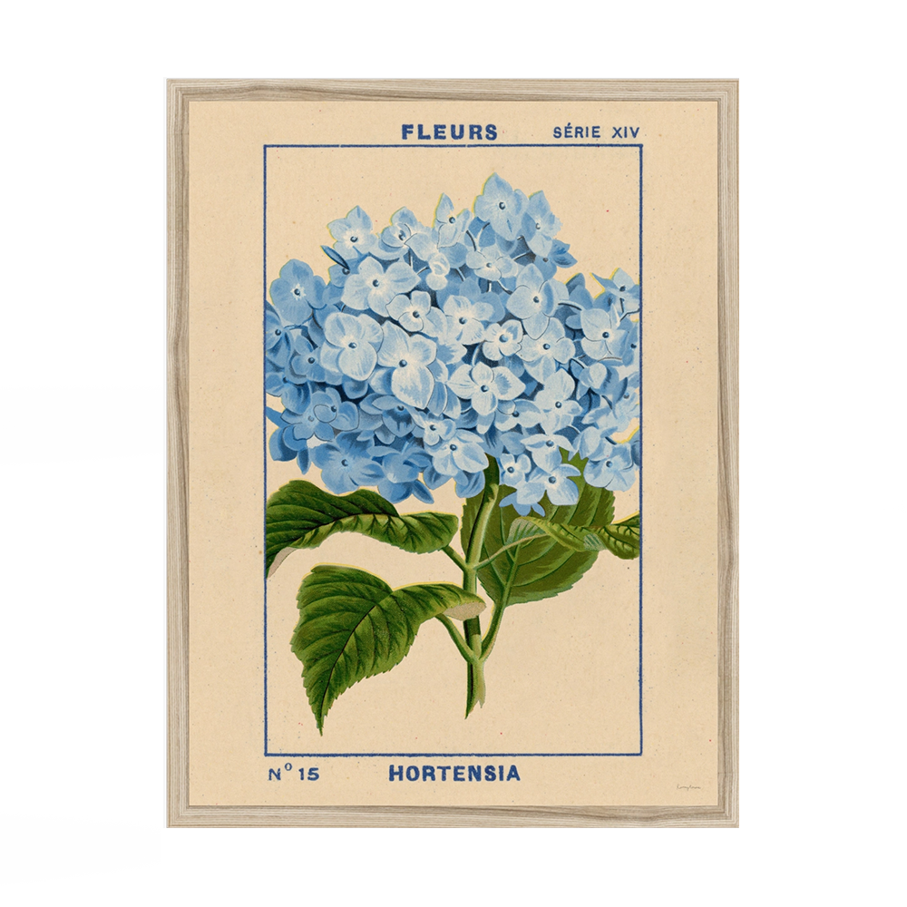 Roomytown Fine Art Print - 11 x 14 - Hydrangea
