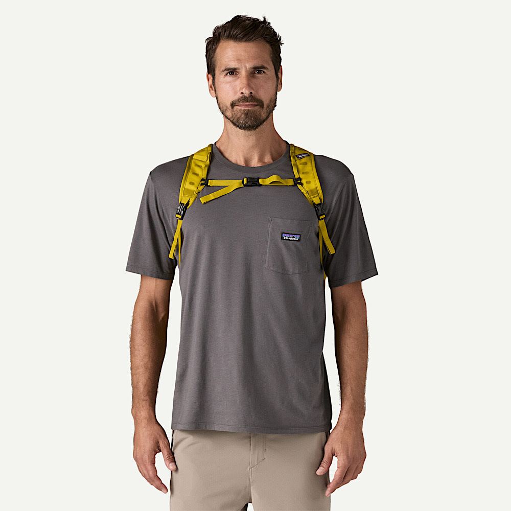 Patagonia Terravia Tote Pack - Graze Green