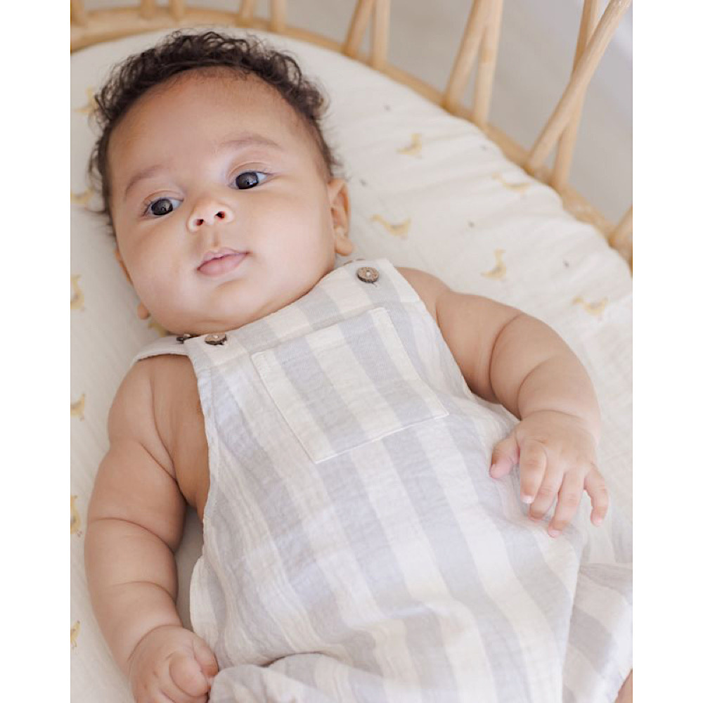 Quincy Mae Hayes Romper - Sky Stripe