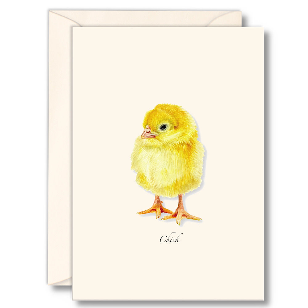 Earth Sky + Water - Chick Card - Box Set of 8