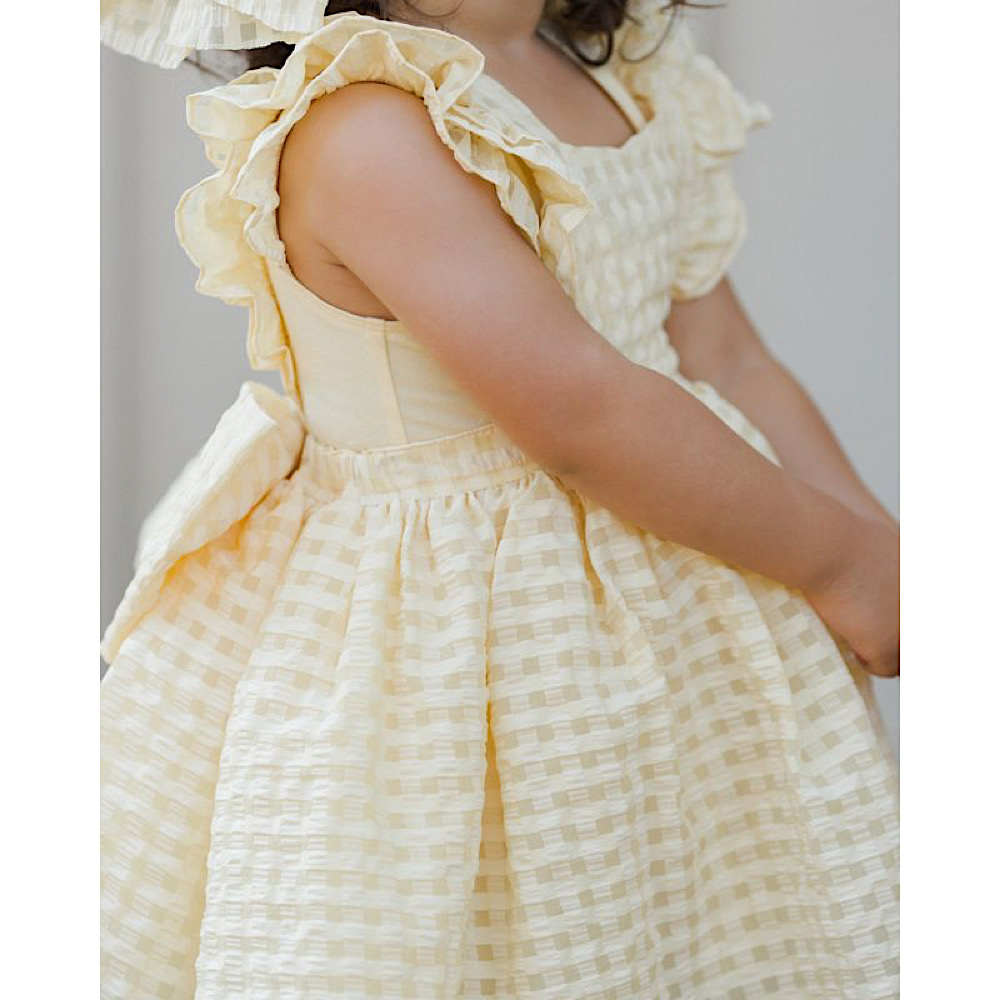 Noralee Provence Dress - Lemon Check