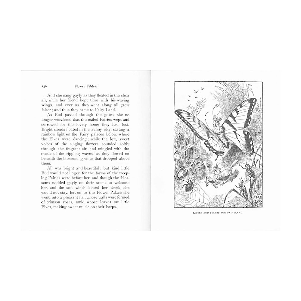 Flower Fables Hardcover Book