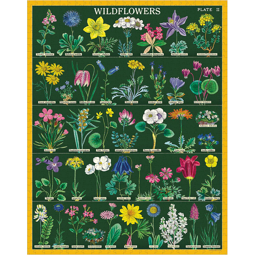 Cavallini 1000 Piece Puzzle - Wildflowers 2