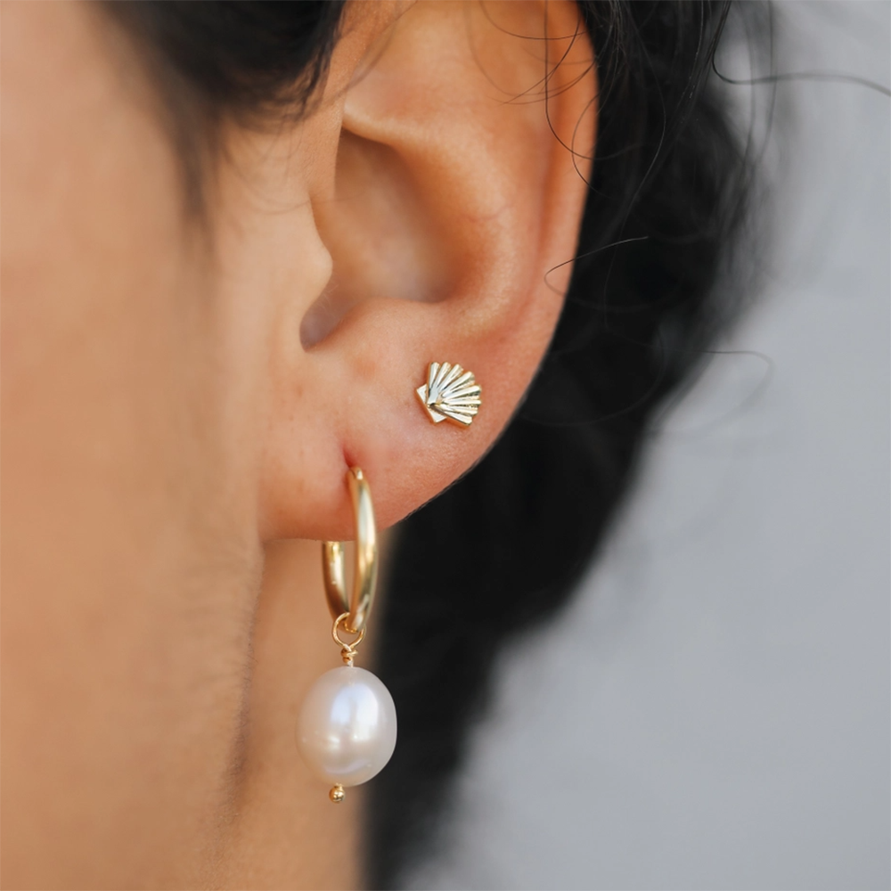 JaxKelly Seashell Stud Earrings - Gold