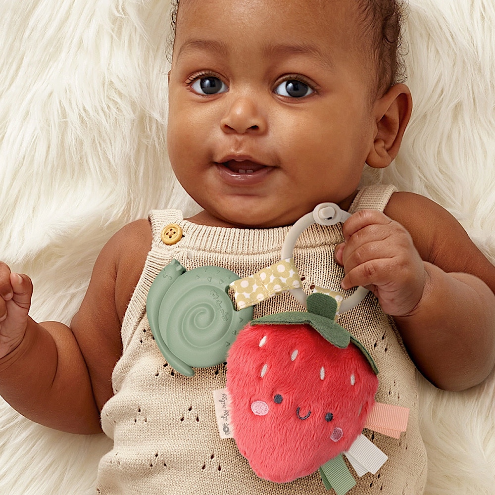 Itzy Ritzy Pal Plush + Teether - Strawberry