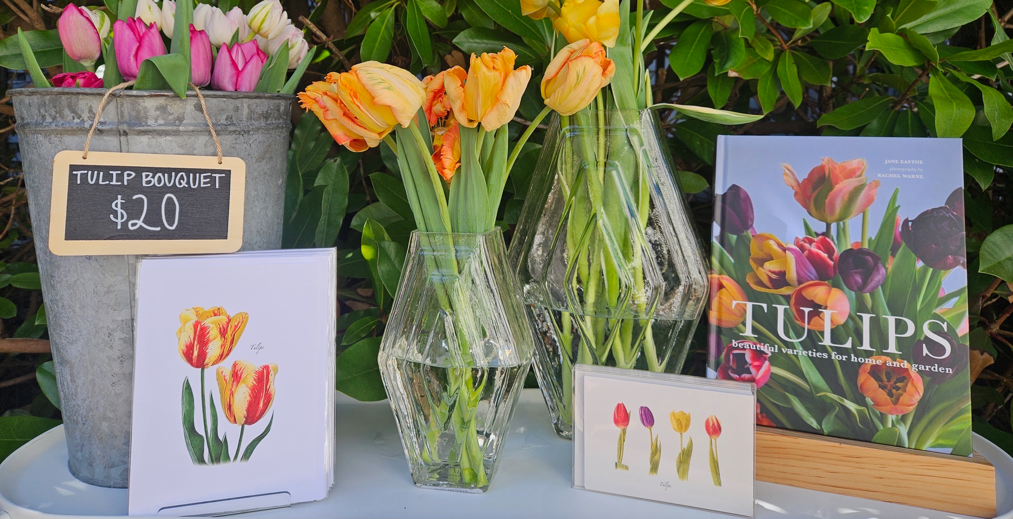 Mother's Day & Spring