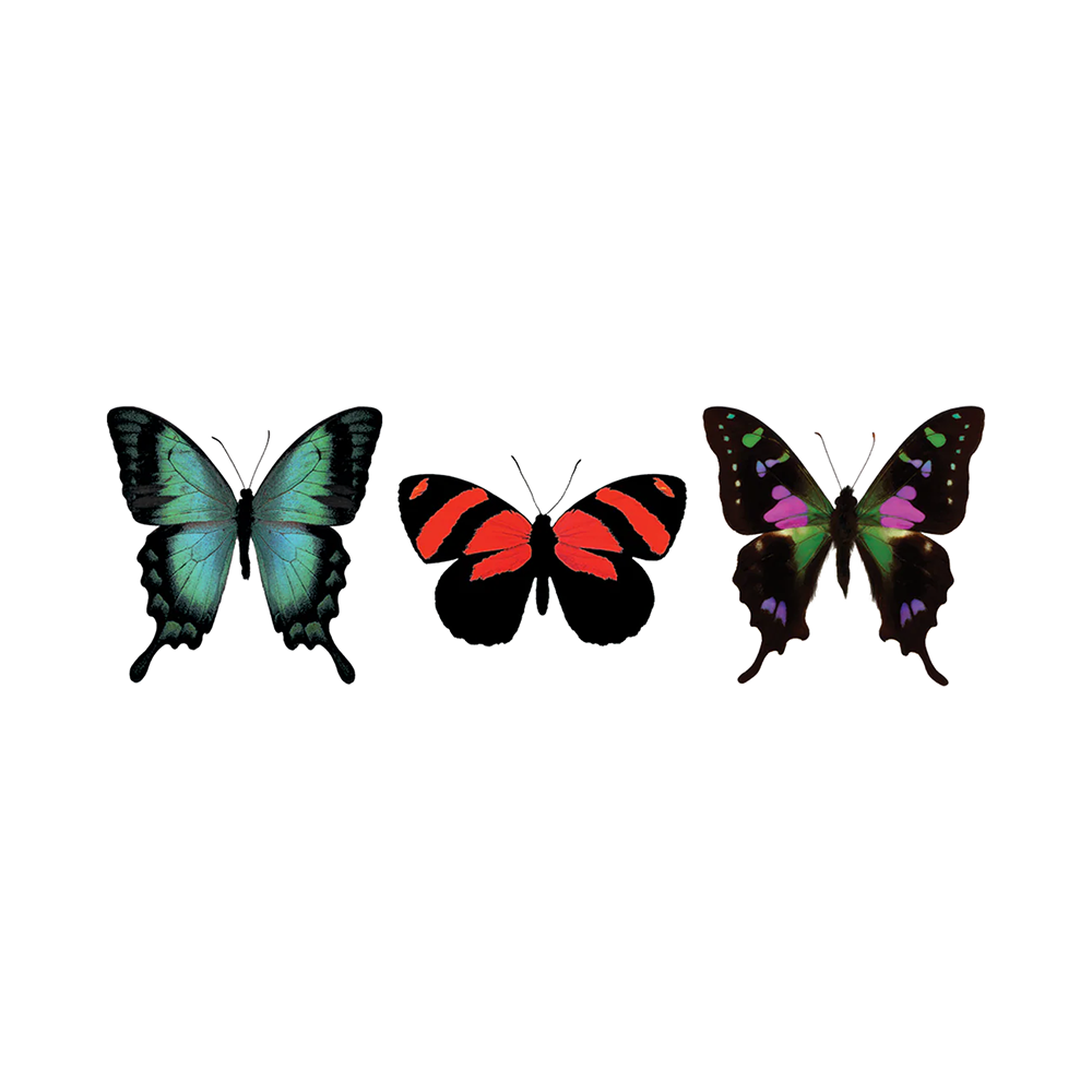 Tattly Tattoo 2-Pack - Butterfly Trio