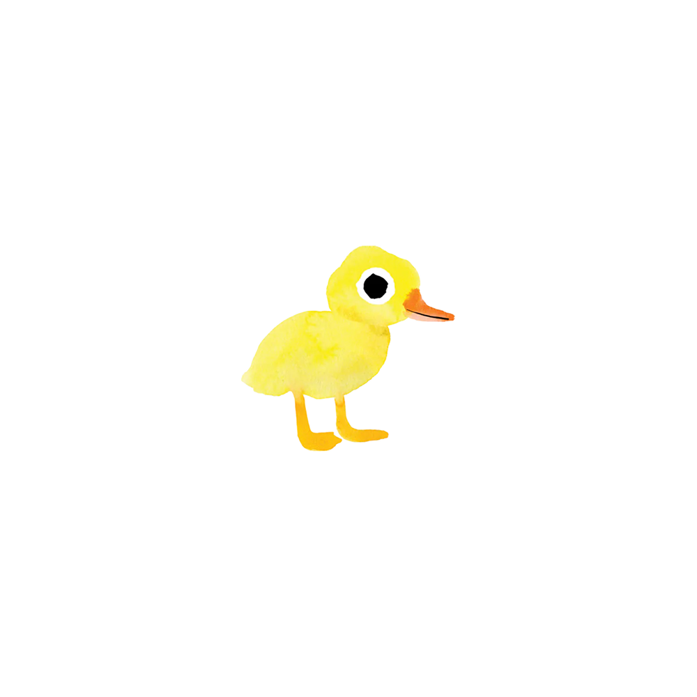Tattly Tattoo 2-Pack - Duckling