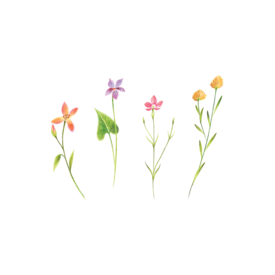 Tattly Tattly Tattoo 2-Pack - Petite Florals