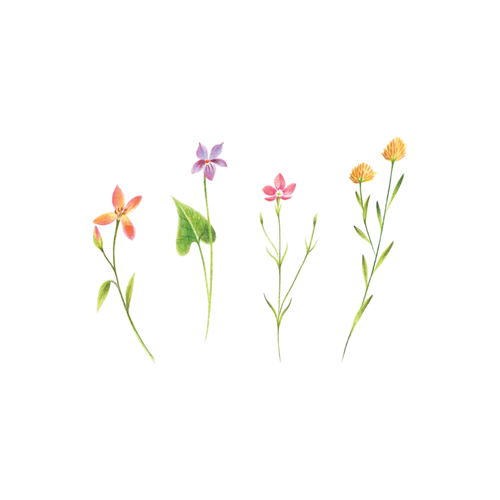 Tattly Tattly Tattoo 2-Pack - Petite Florals