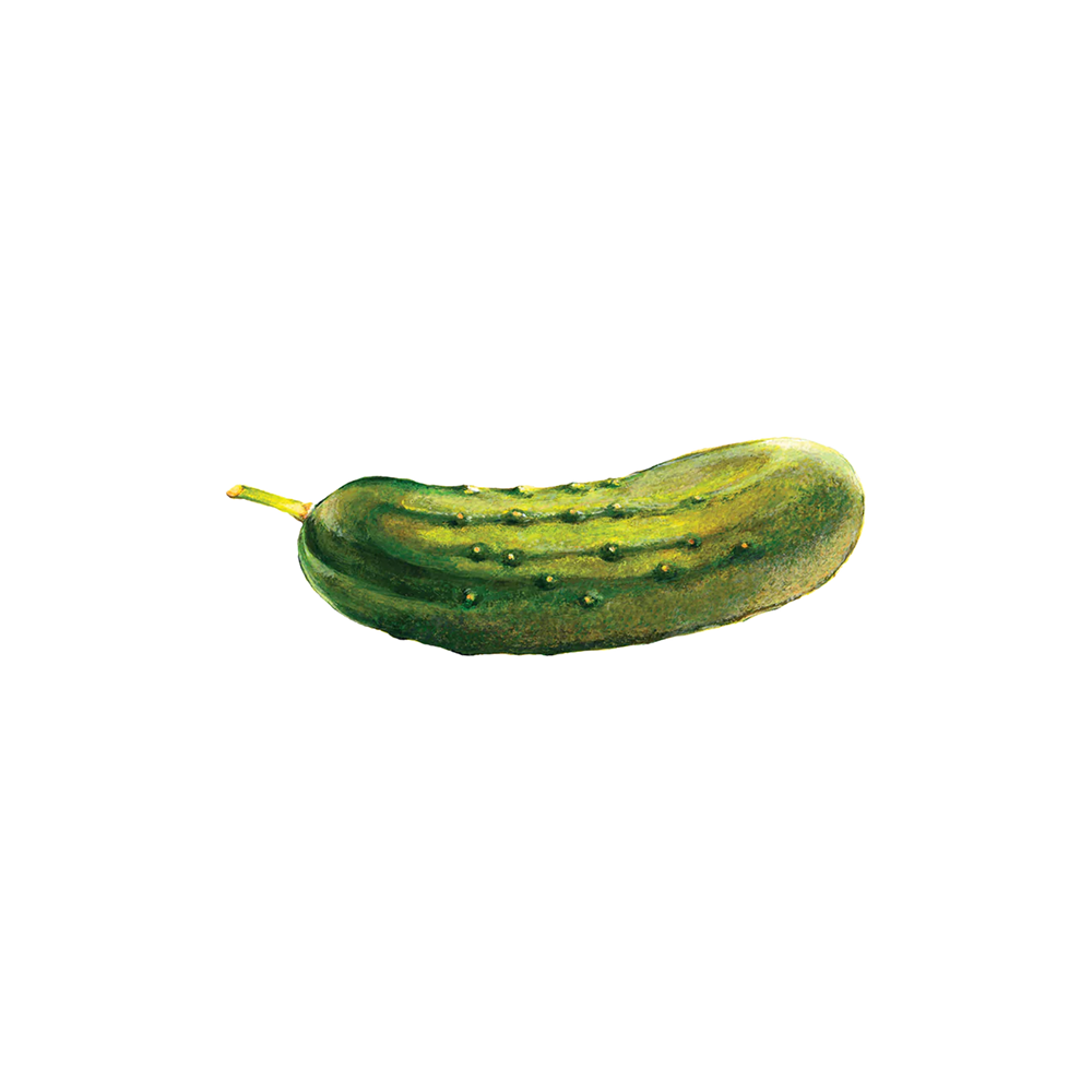 Tattly Tattoo 2-Pack - Pickle