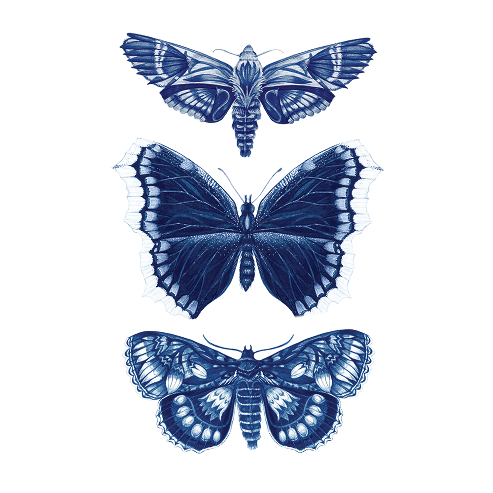 Tattly Tattly Tattoo 2-Pack - Sapphire Moths