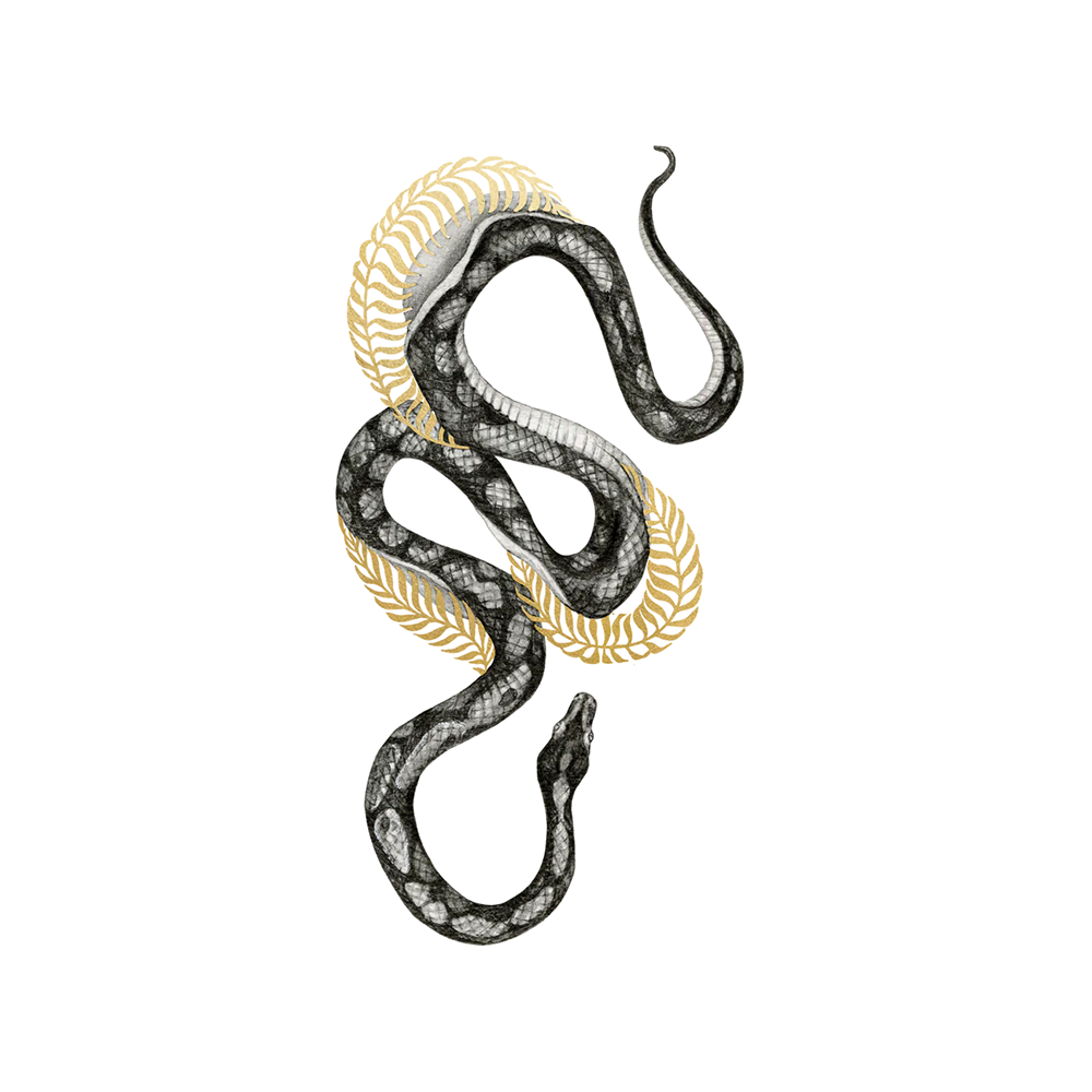 Tattly Tattoo 2-Pack - Shimmering Serpent