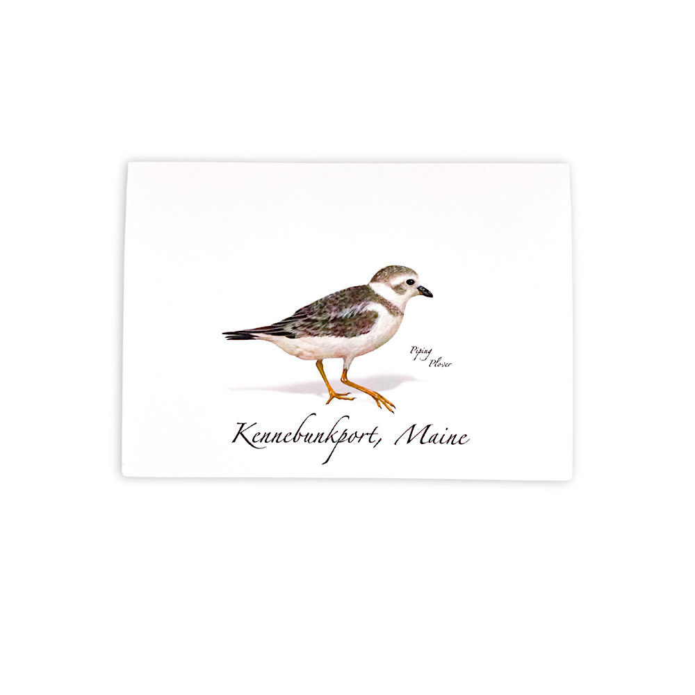 Earth Sky + Water Earth Sky + Water - Piping Plover Card