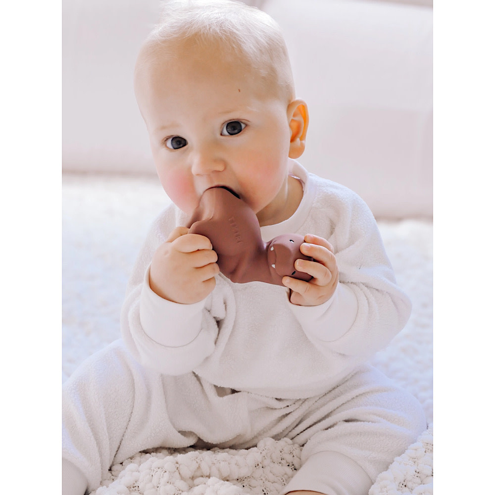 Organic Rubber Teether - T Rex