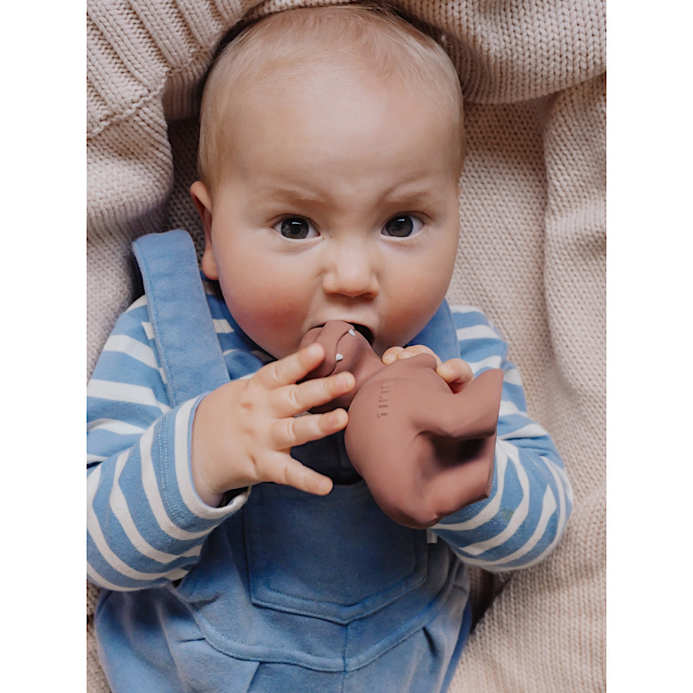 Organic Rubber Teether - T Rex