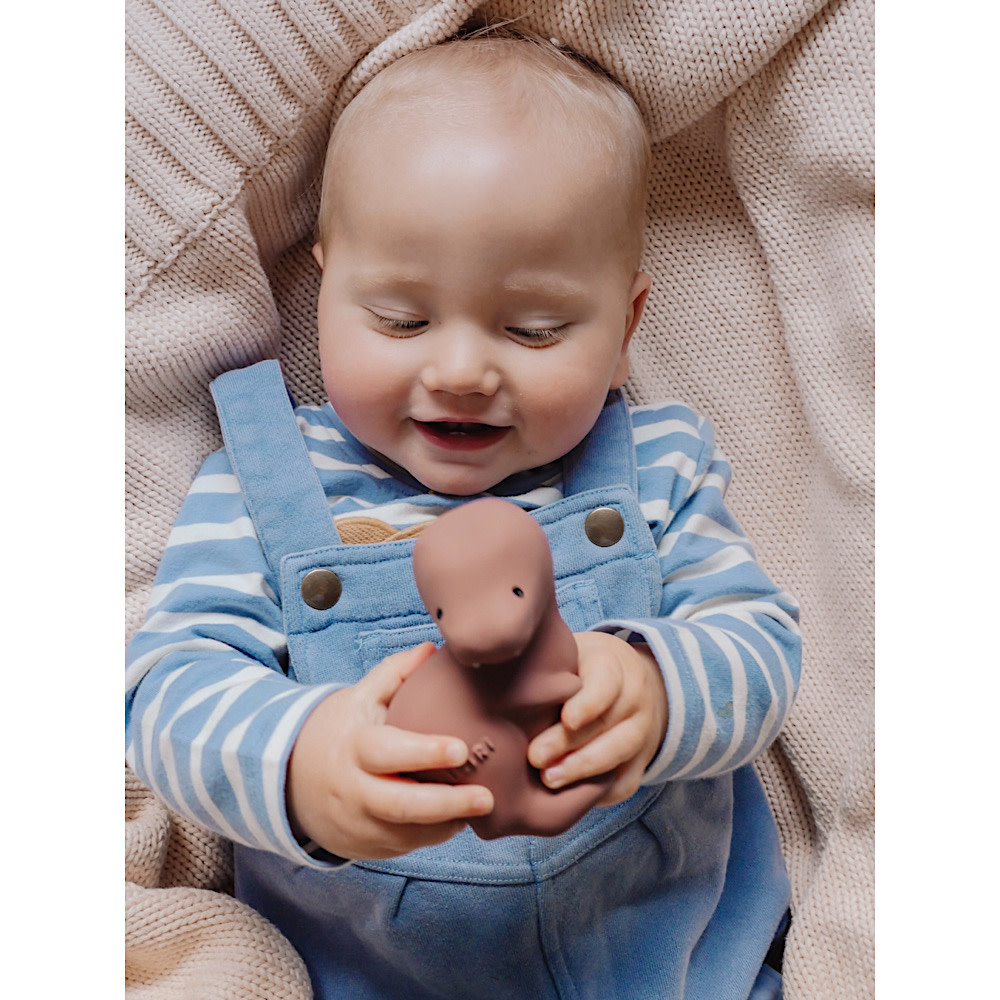 Organic Rubber Teether - T Rex