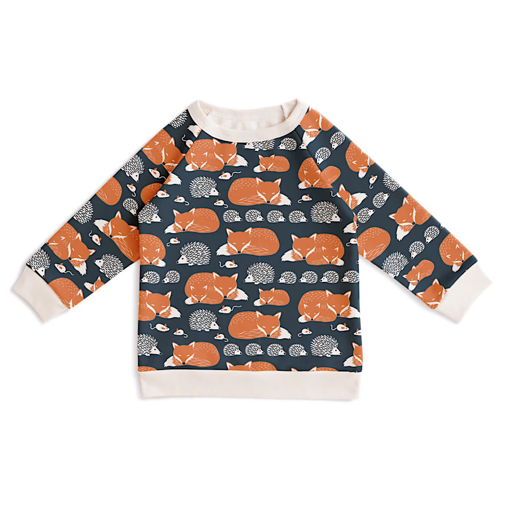 Winter Water Factory Winter Water Factory Sweatshirt - Foxes & Hedgehogs Night Sky