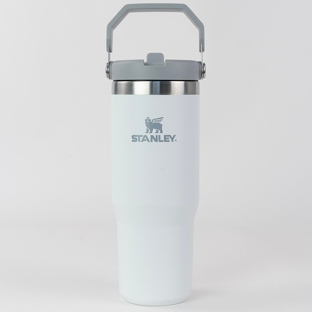 Stanley x Daytrip Society Custom Kennebunkport Icons IceFlow Flip Straw Tumbler 30oz - Polar