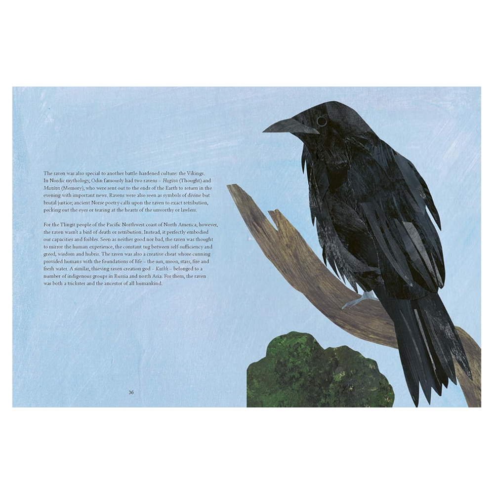 Bird Lore Hardcover Book