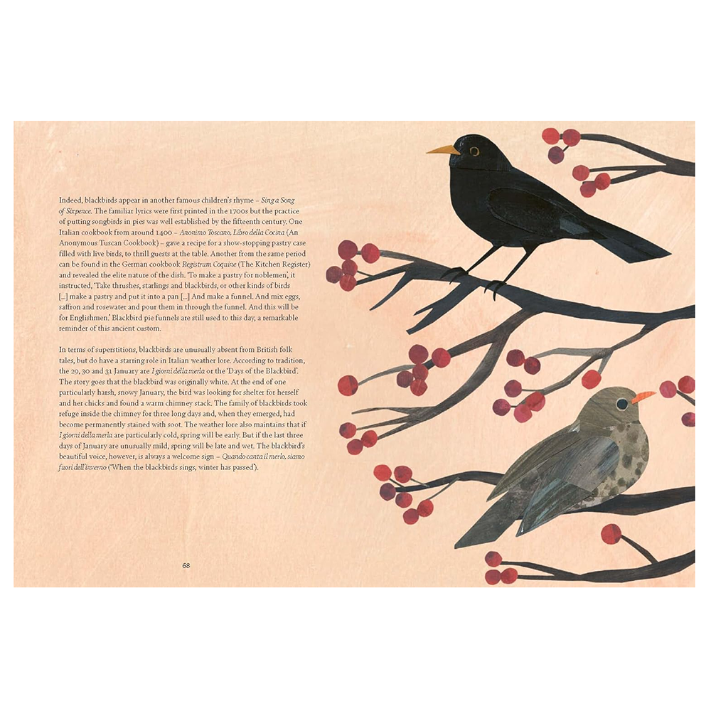 Bird Lore Hardcover Book