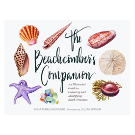 Chronicle The Beachcomber's Companion Guide Hardcover Book