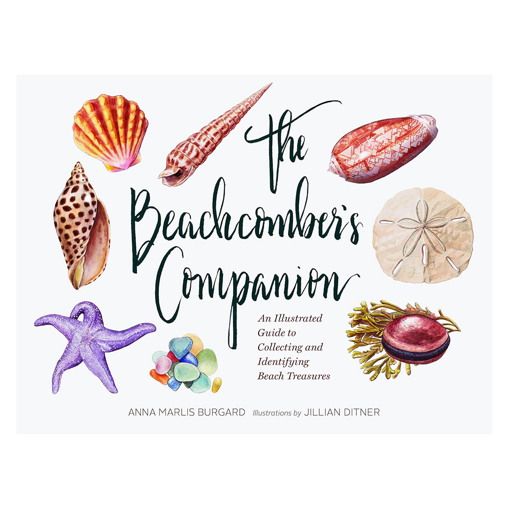 Chronicle The Beachcomber's Companion Guide Hardcover Book