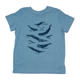 cinder + salt Cinder + Salt Kids Tee - Whale Species