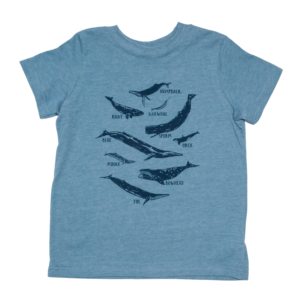 cinder + salt Cinder + Salt Kids Tee - Whale Species