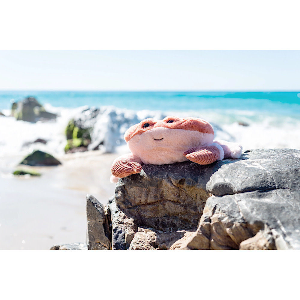 Kenzo Crab - 15 Inches