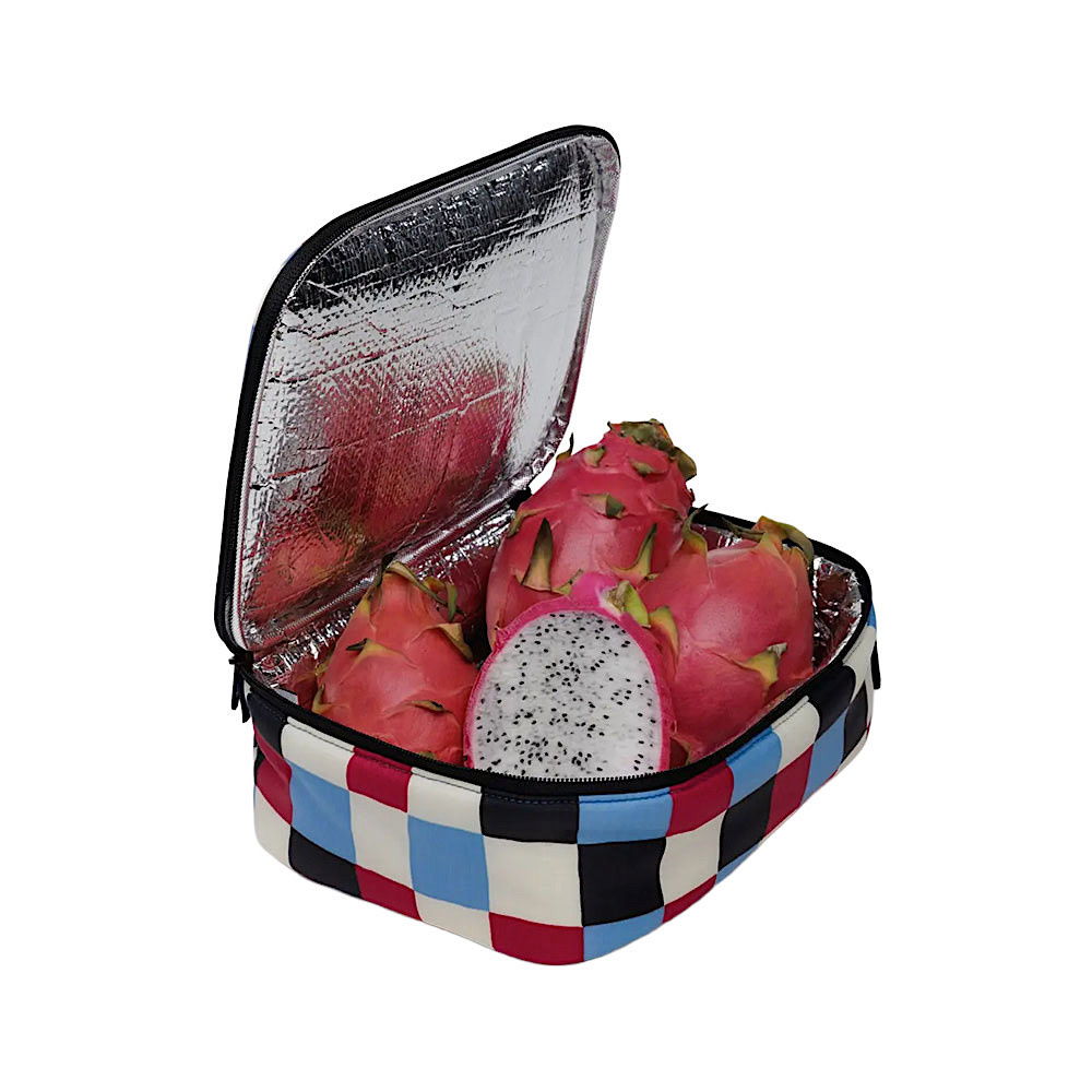 Baggu Lunch Box - Painted Check