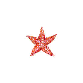 Tattly Tattly Tattoo 2-Pack - Starfish