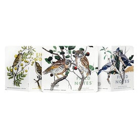 Field Notes Field Notes - Birds & Trees of North America: Screech Owl, Blue Jay, & Brewer Sparrow - 3 Pack