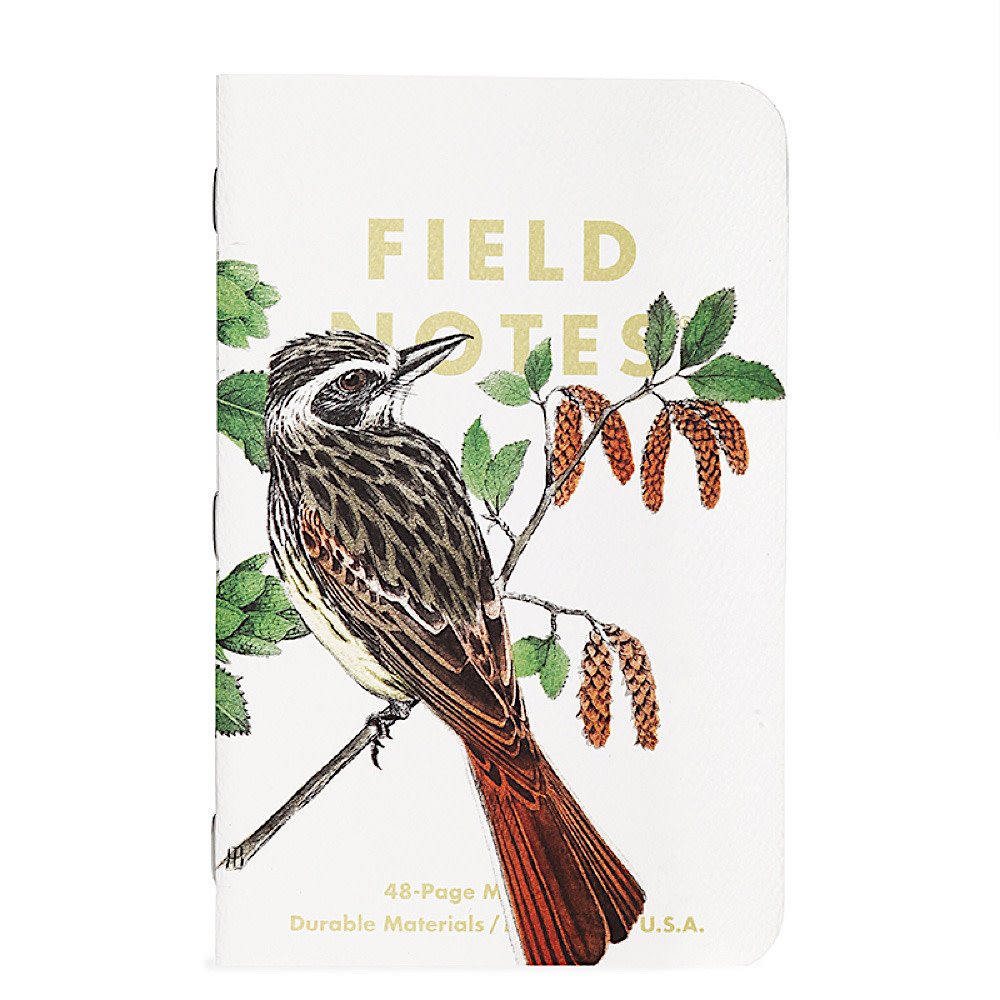 Field Notes - Birds & Trees of North America: Pine Grosbeak, Baltimore Oriole, & Sulphurbelly Flycatcher - 3 Pack