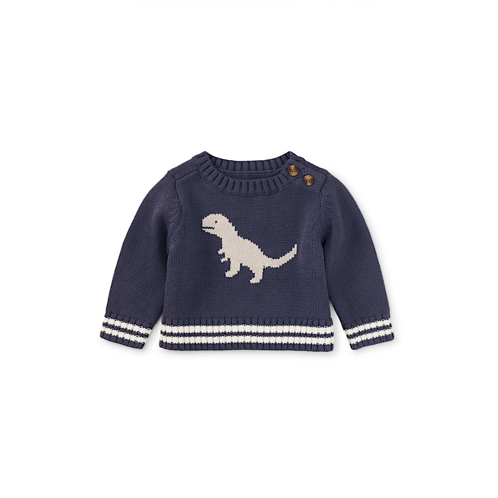 Tea Collection Baby Dino Sweater - Triumph