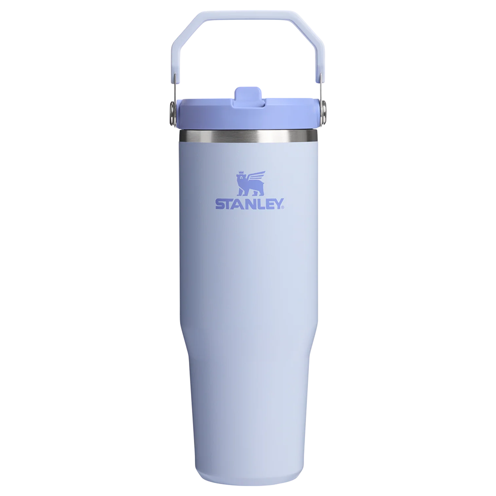 Stanley Stanley IceFlow Flip Straw Tumbler 2.0 30oz - Dew Drop