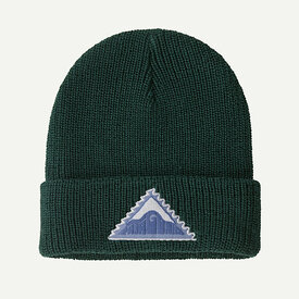 Patagonia Patagonia -  Kids Logo Beanie - Driftways Patch: Cascade Green