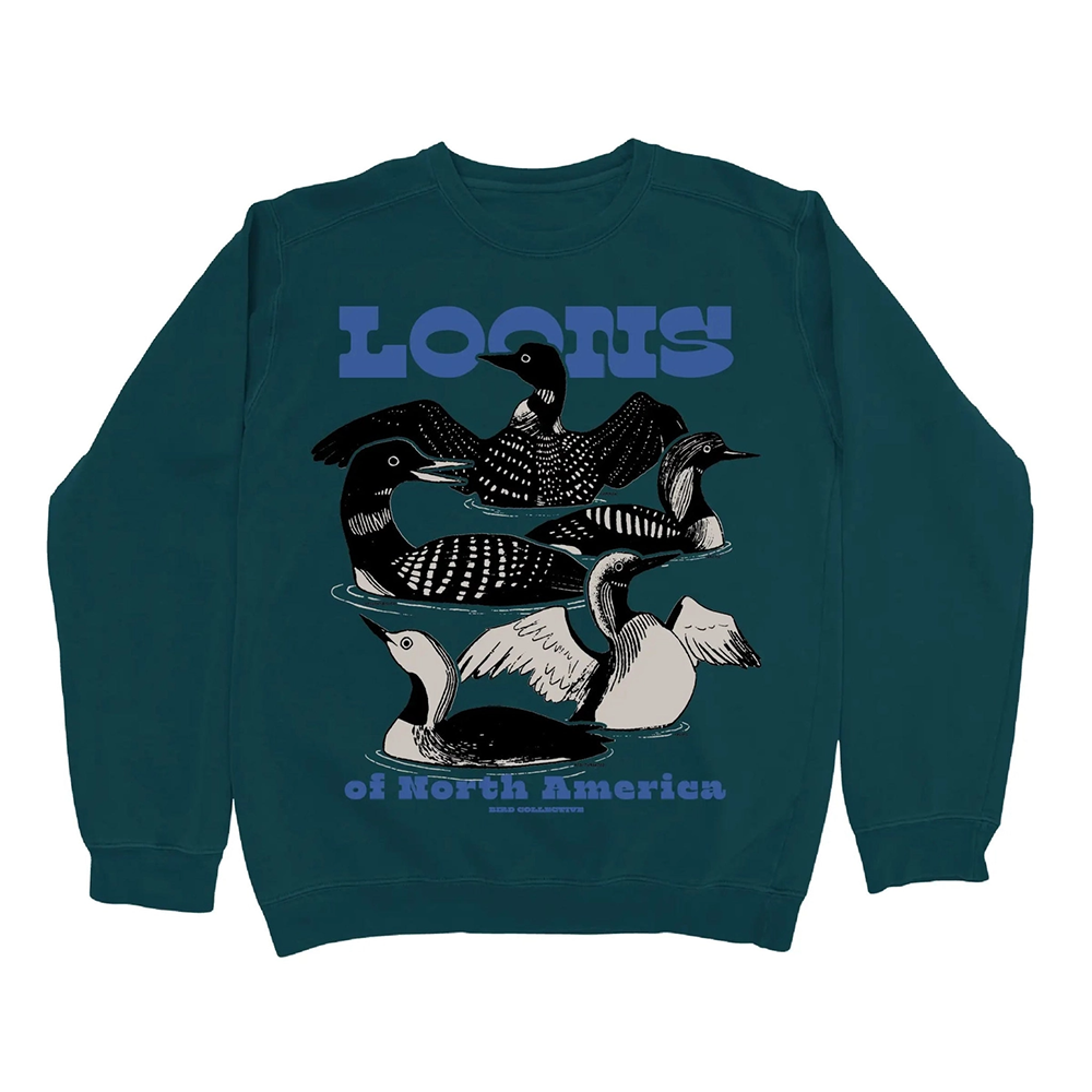 Bird Collective Bird Collective Sweatshirt - Loons of North America Dark Teal