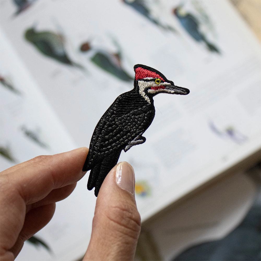 Bird Collective Patch - Pileated Woodpecker