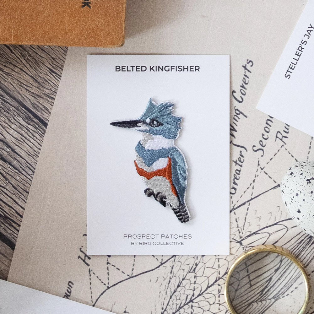 Bird Collective Patch - Belted Kingfisher