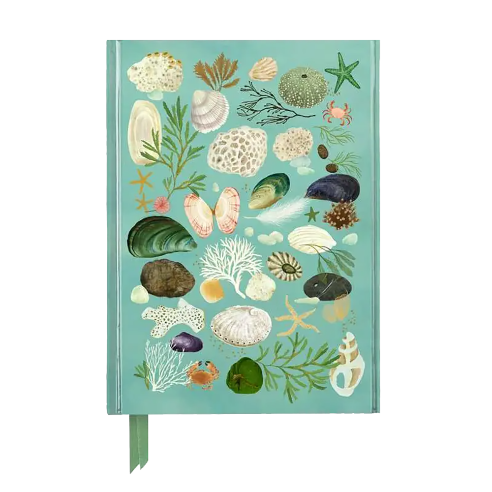 Katherine Quinn Beachcombing Notebook