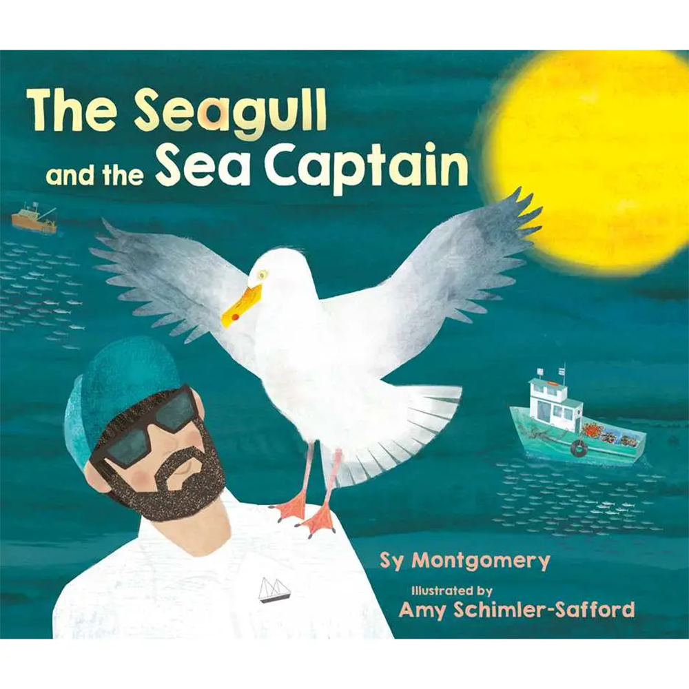 Simon & Schuster Seagull and the Sea Captain Hardcover Book
